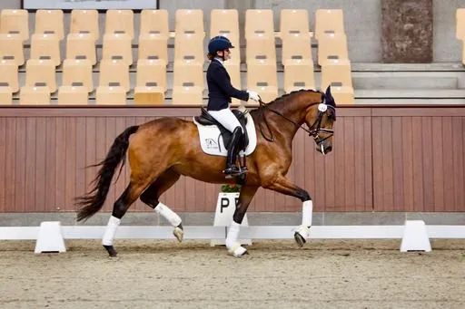 Hertzara Grønvang opstillet