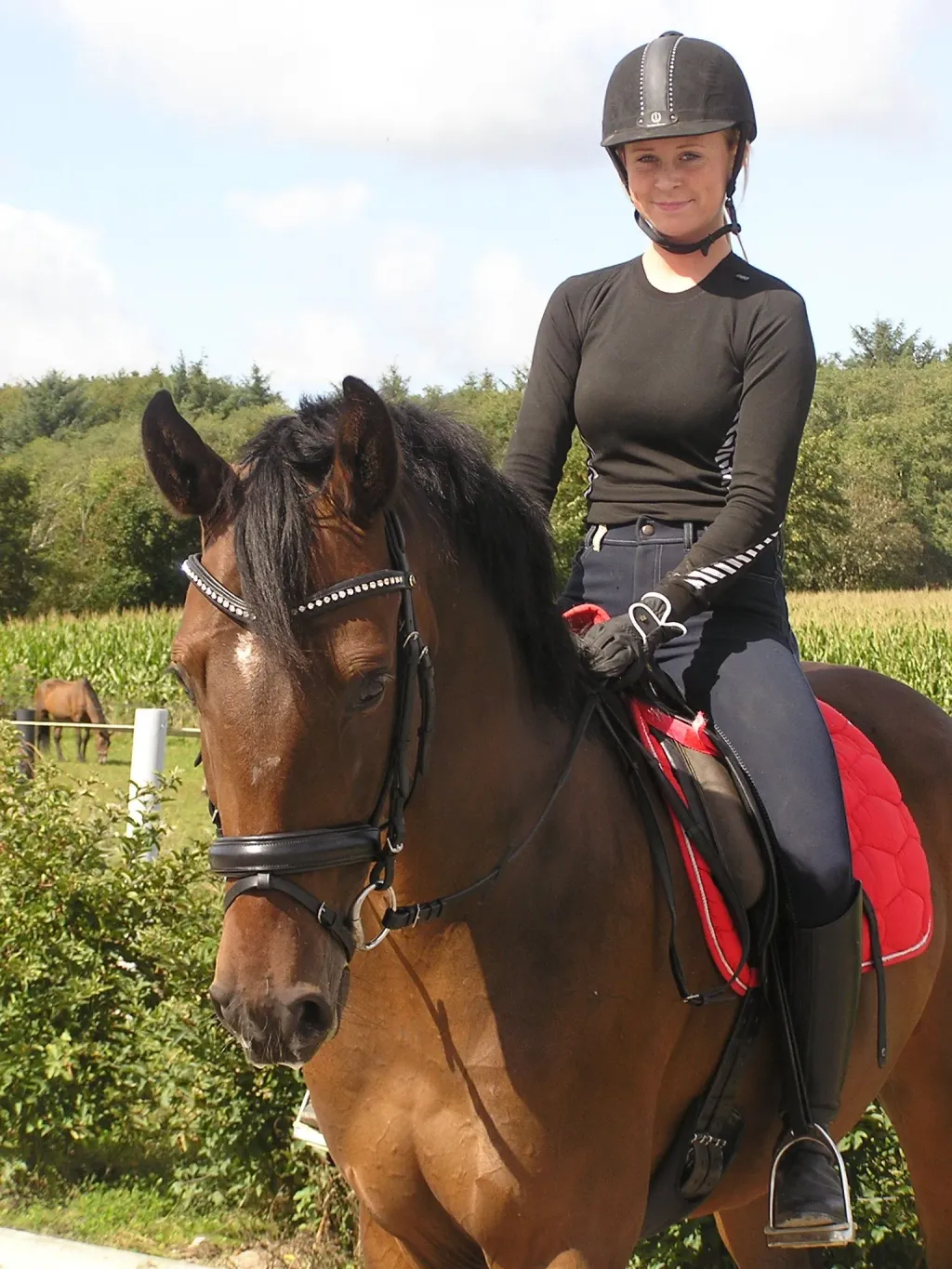 Solgte heste fra Stald Schrøter