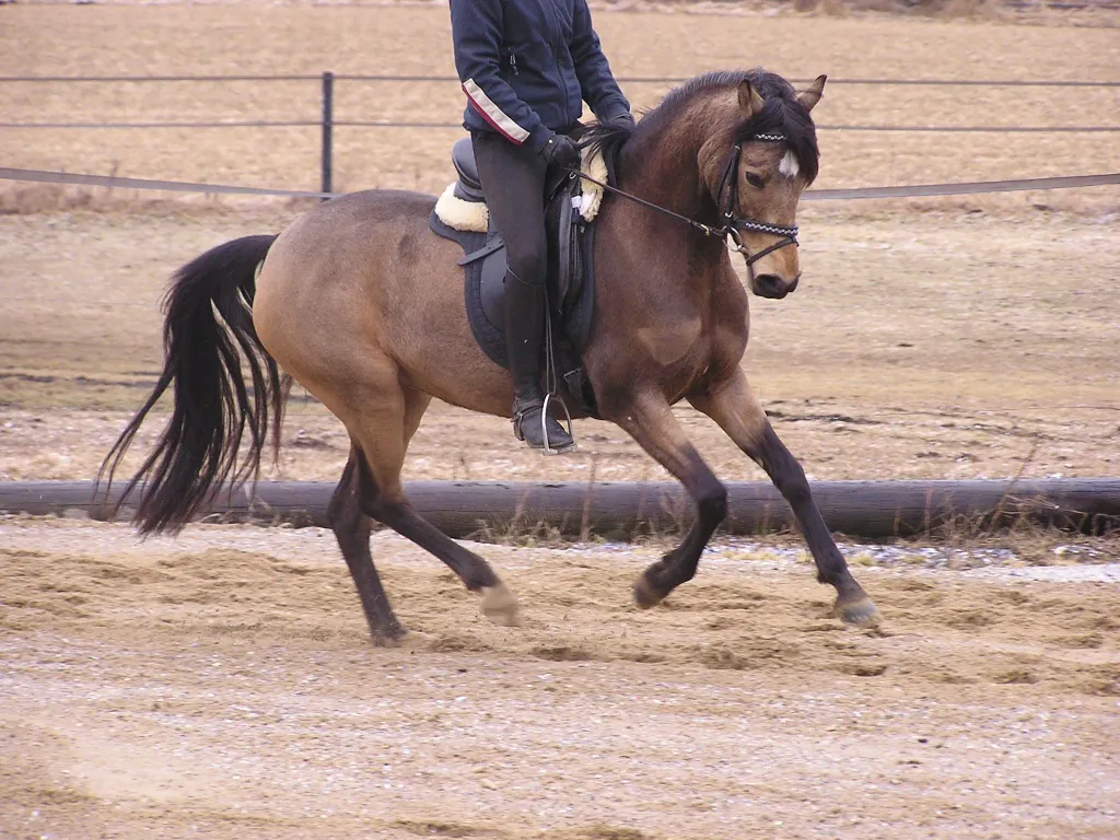 Schrøter's Camp Gini i april 2013