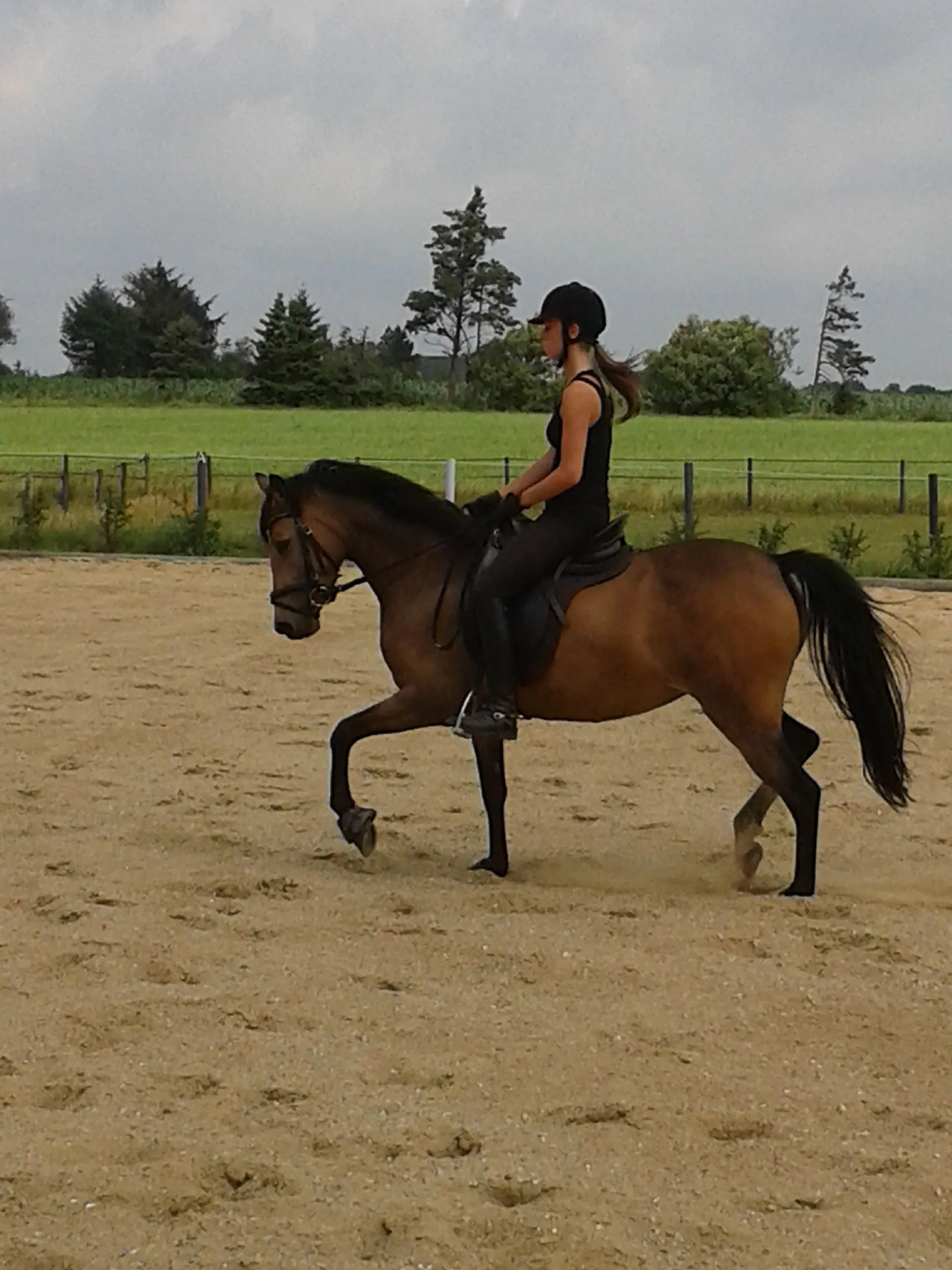 Schrøter's Camp Gini