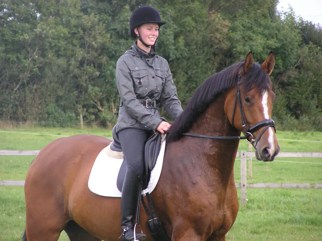 Schrøters Don de Luxe sideprofil