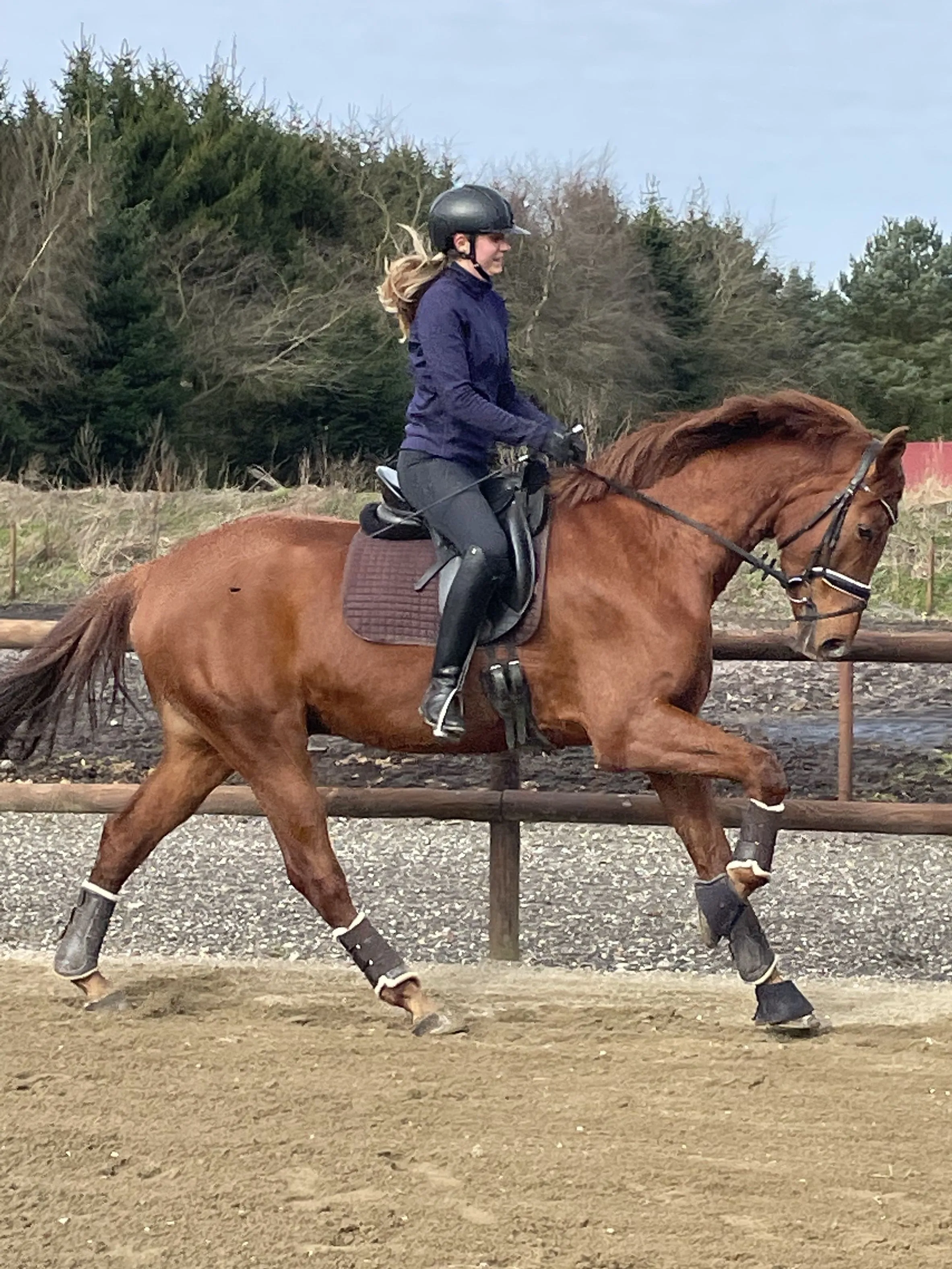 Schrøter's Fair Fellow i folden