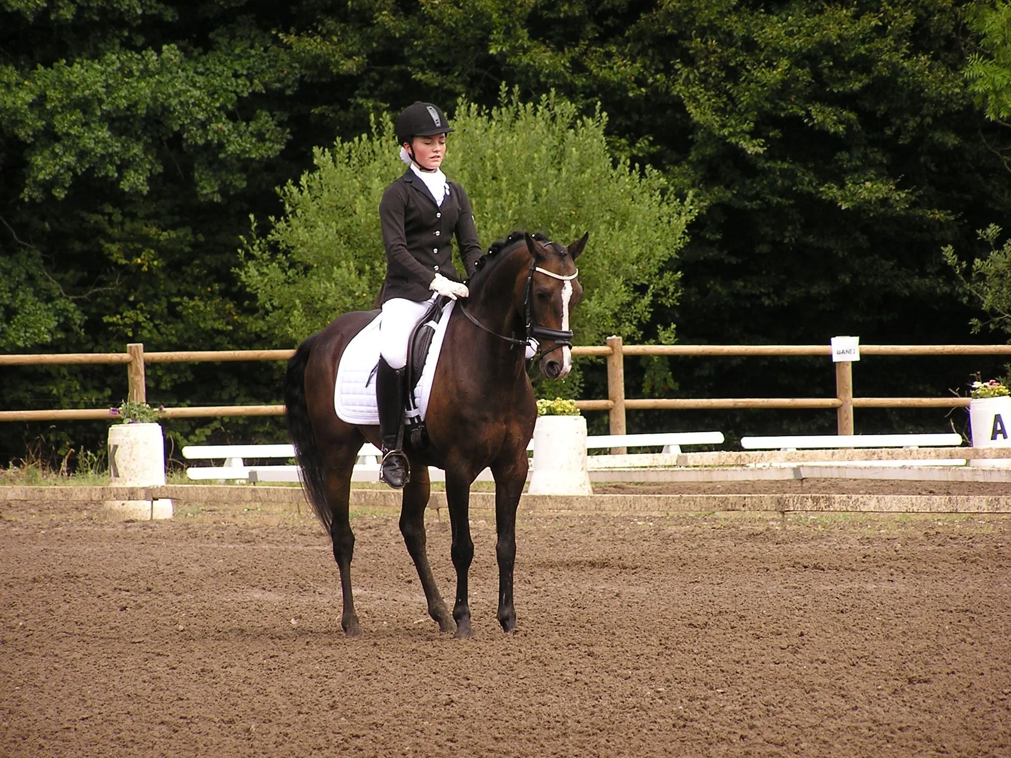 Schrøter's Ferro sideprofil