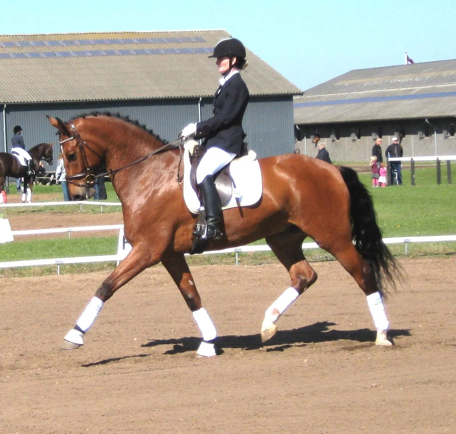 Schrøters Just Tino