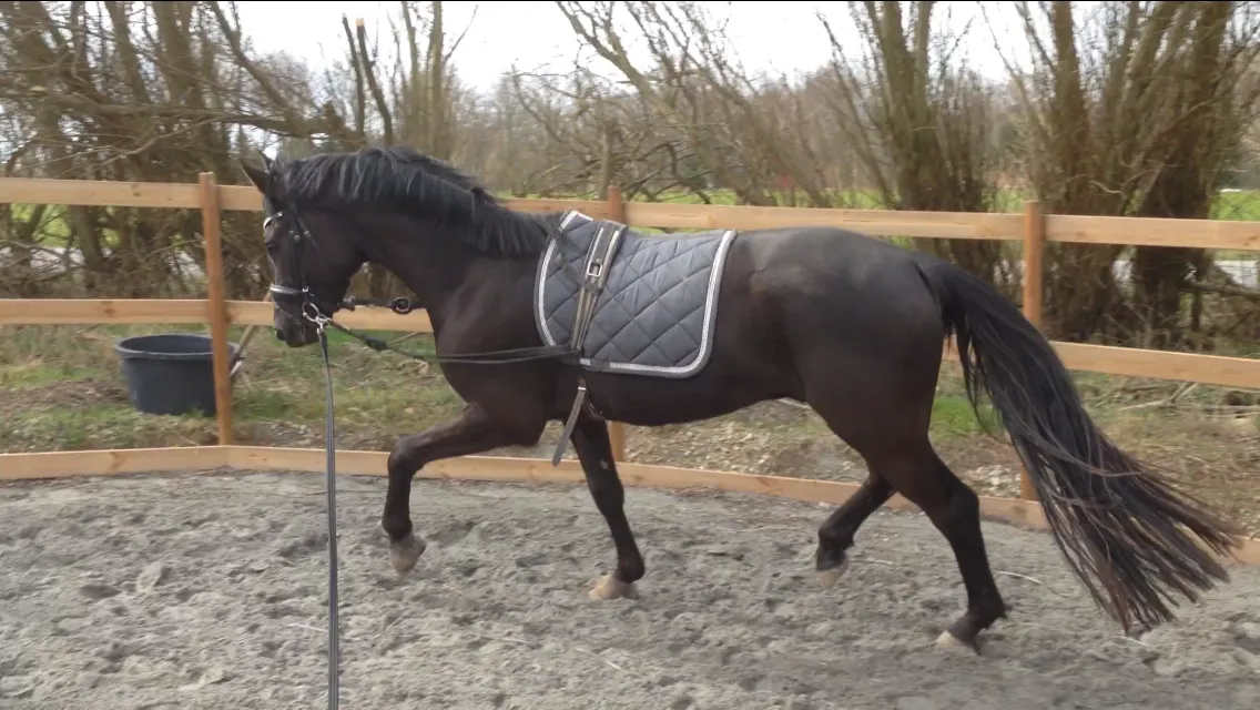 Schrøters Kasijo portræt