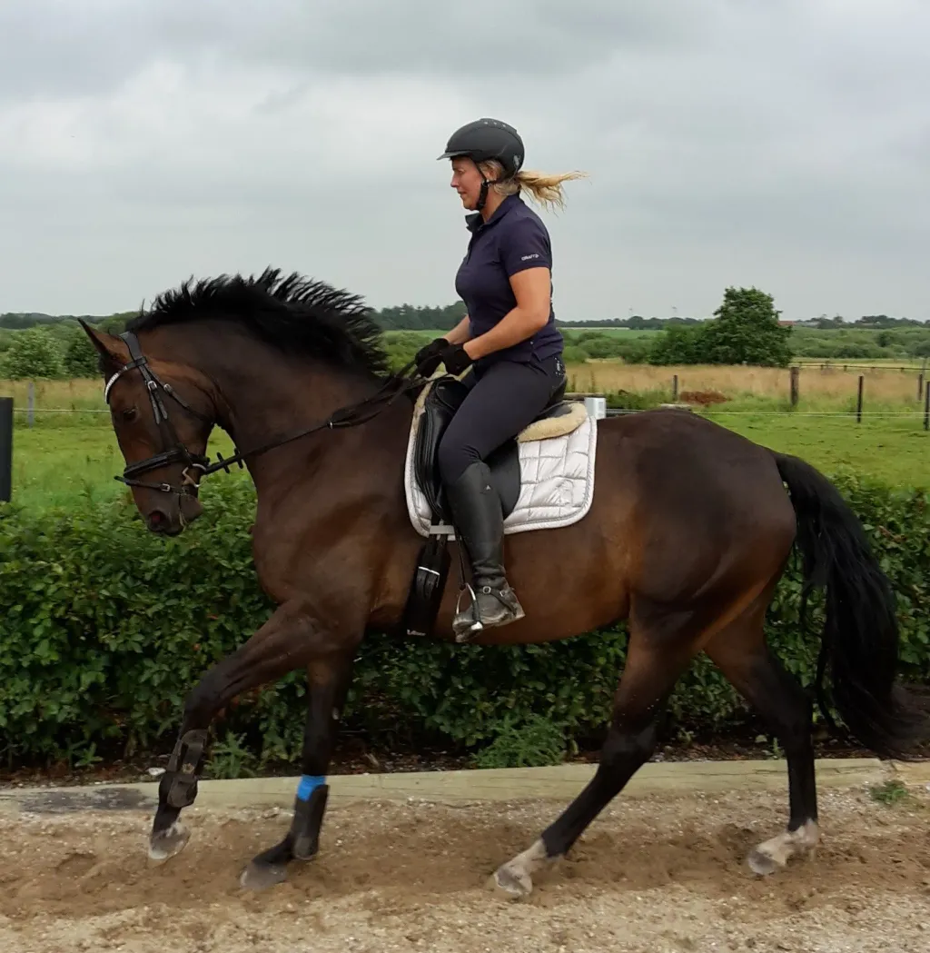 Schrøters Max Level