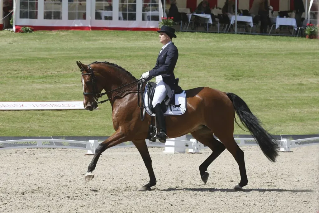 Schrøters Romani RDH