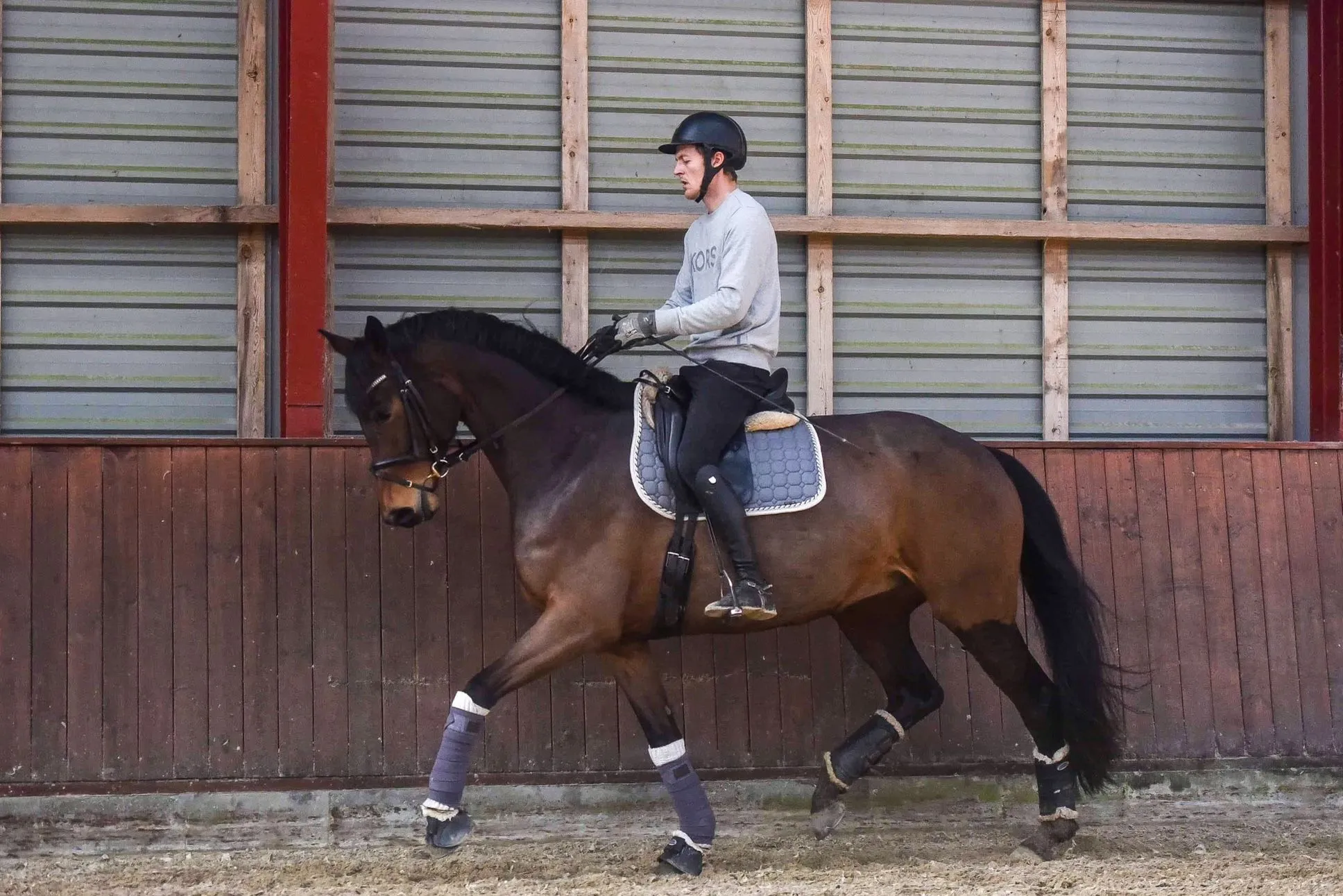 Schrøter's Rosanti i profil