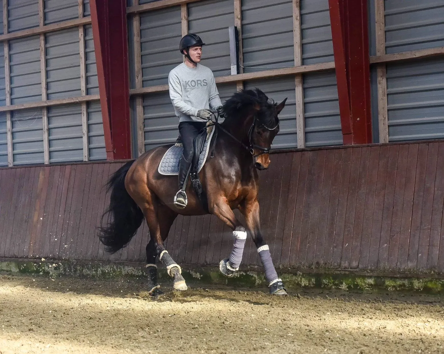 Schrøter's Rosanti i bevægelse